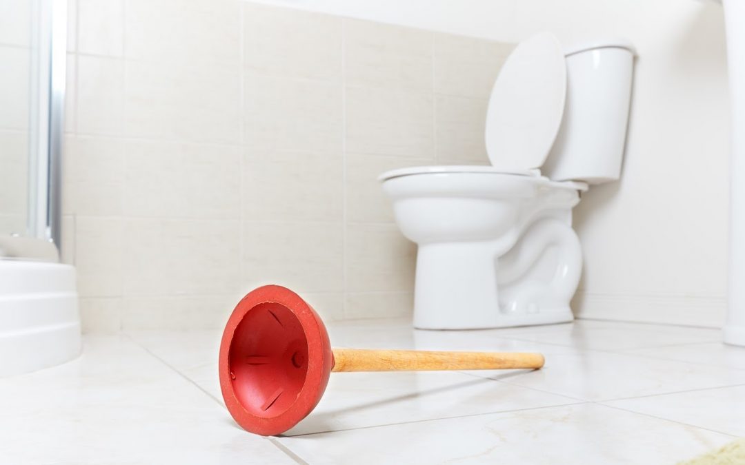 What Items Shouldn’t Go Down Your Toilet?
