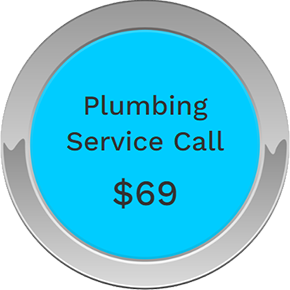 Plumbing service call $69 special