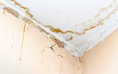 Signs of a Hidden Plumbing Leak in Your Home